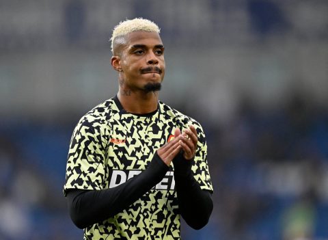 Wolves Manager Vitor Pereira Addresses Mario Lemina's Situation Amid Transfer Interest from Al Shabab